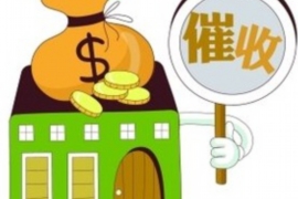 居巢居巢专业催债公司，专业催收